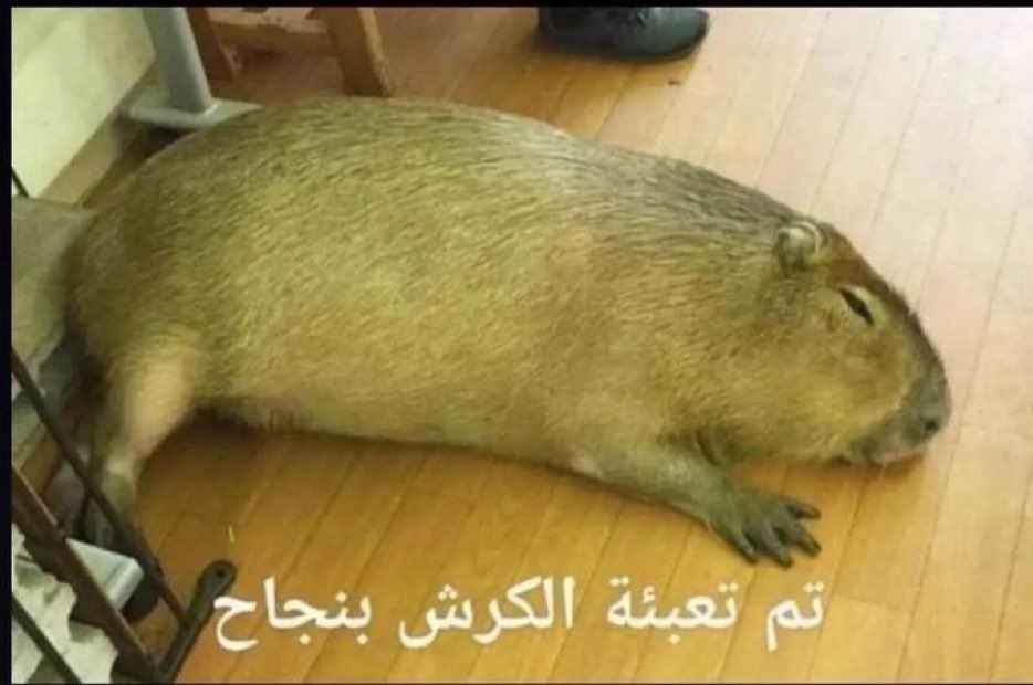 عمّار tweet media