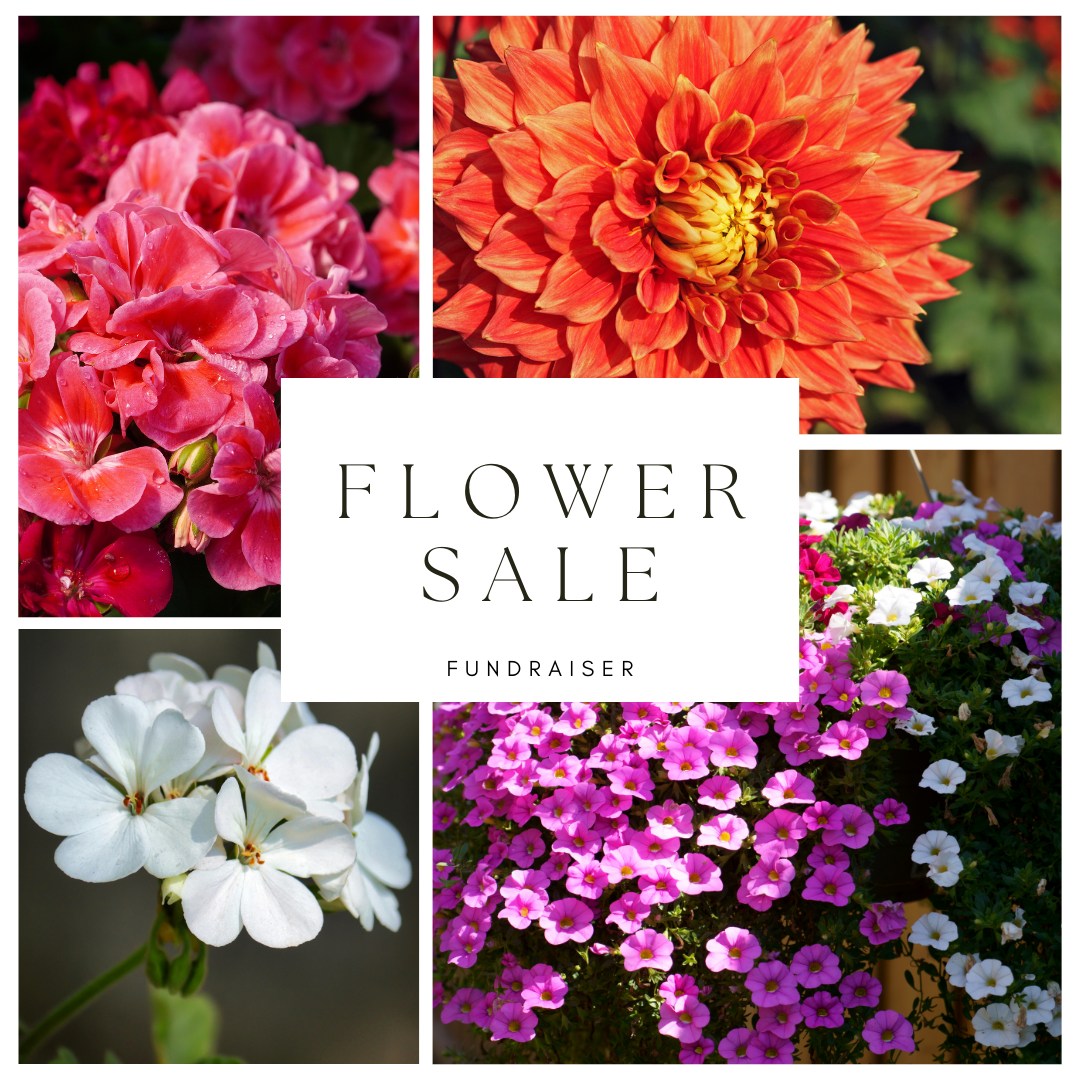 Wayne Tomorrow! tweet media