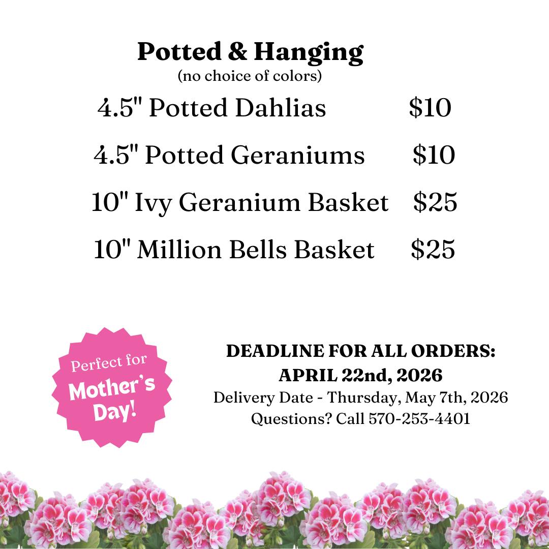 Wayne Tomorrow! tweet media