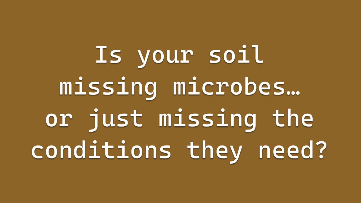 Andrew McGuire tweet media