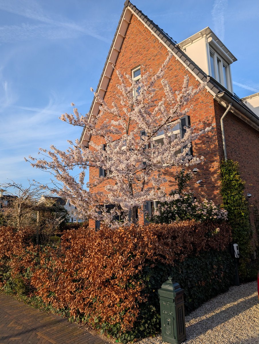 MarcoTweetz tweet media