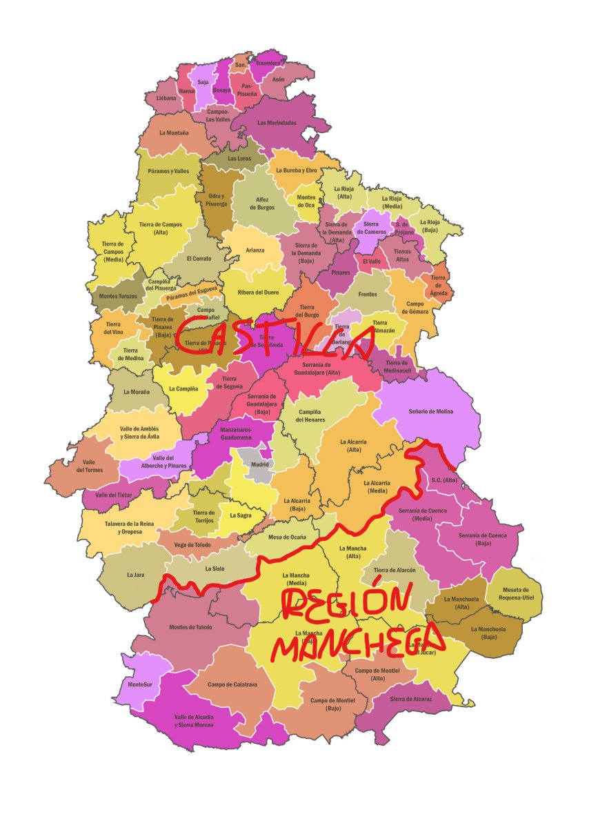 Dani G 🌻🌦️ tweet media