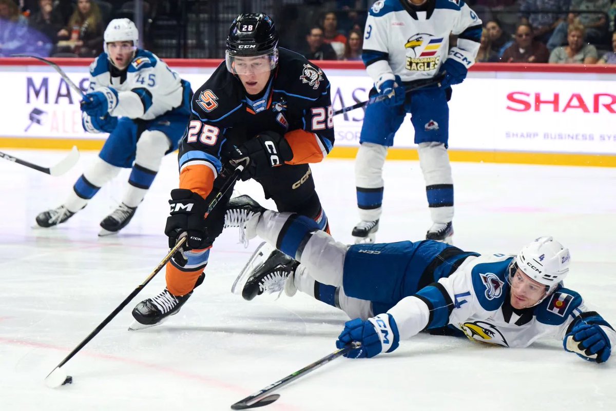 DucksNPucks 🦆🏒 tweet media