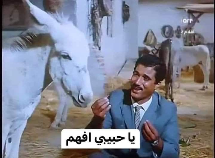 سجاد احمد العراقي tweet media