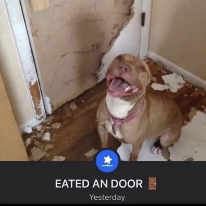 randa⁹ tweet media