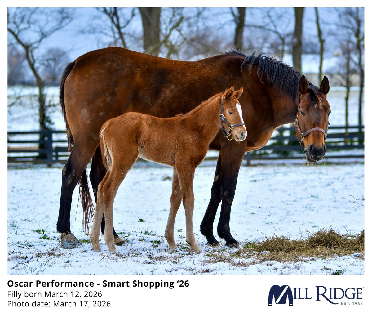 Headley Bell tweet media