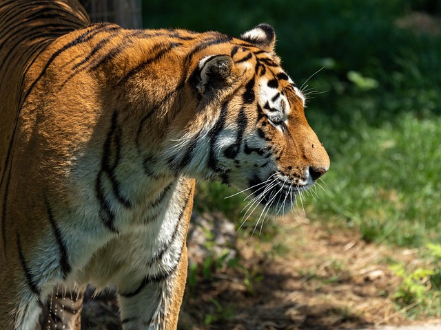 Keith Southall tweet media