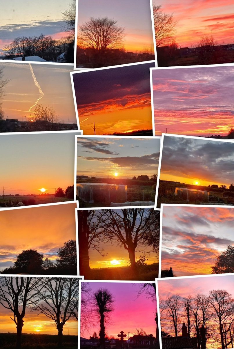 Tina's Cakes tweet media