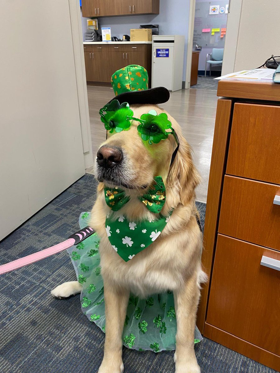 Rob da Squid aka Biscayne Bob tweet media