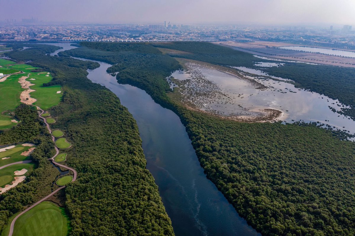 Visit Ajman tweet media