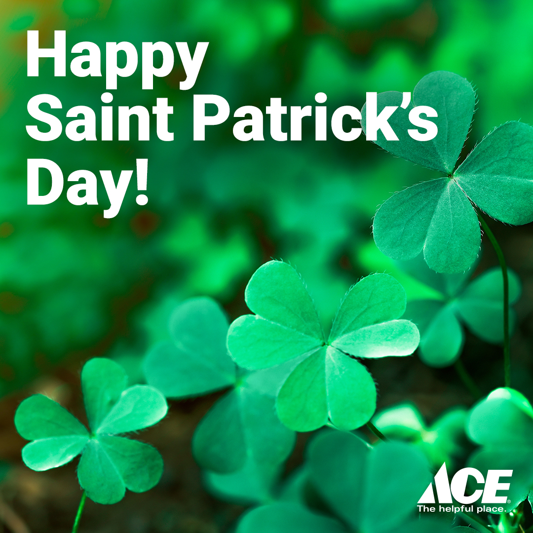 PiniHardware's tweet photo. Feeling lucky? 🍀Don’t get caught not wearing green! Whether you’re enjoying an Irish jig or having the best shamrock shuffle, we hope you’re enjoying your time with family and friends. Happy St. Patrick's Day from all of us at Pini!

#pinihardware #diy #novato #shoplocal https://t.co/AU4iIEQWeJ