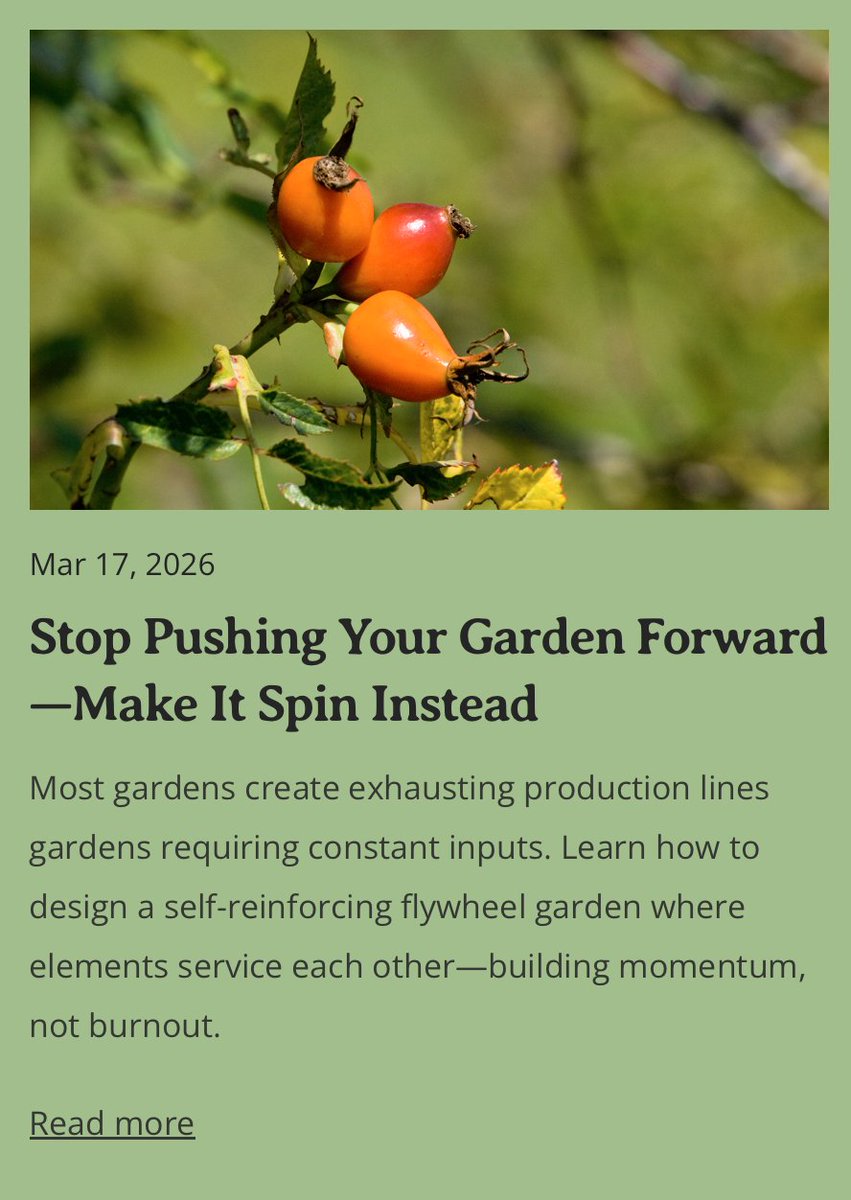 Permaculture Paths tweet media