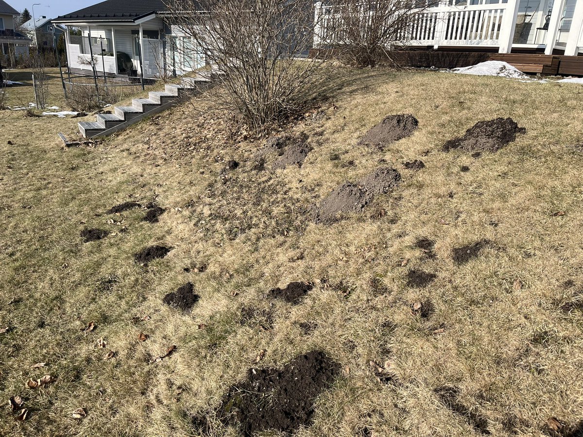 Kalle Saarela tweet media