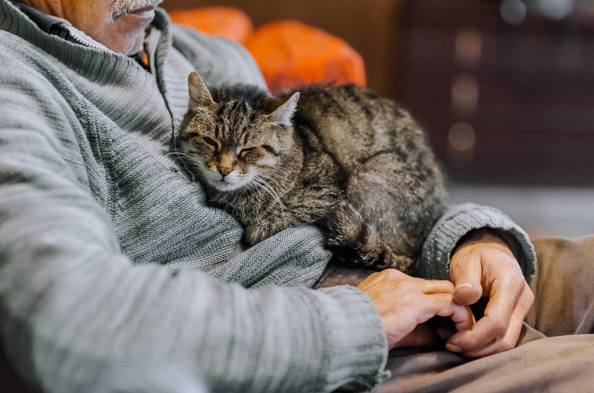 McLean Community Center tweet media