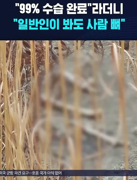 🇺🇸🇰🇷🇯🇵그러하지 (전前 대깨문, 전前 민주당 전국대의원(탈당完)) tweet media