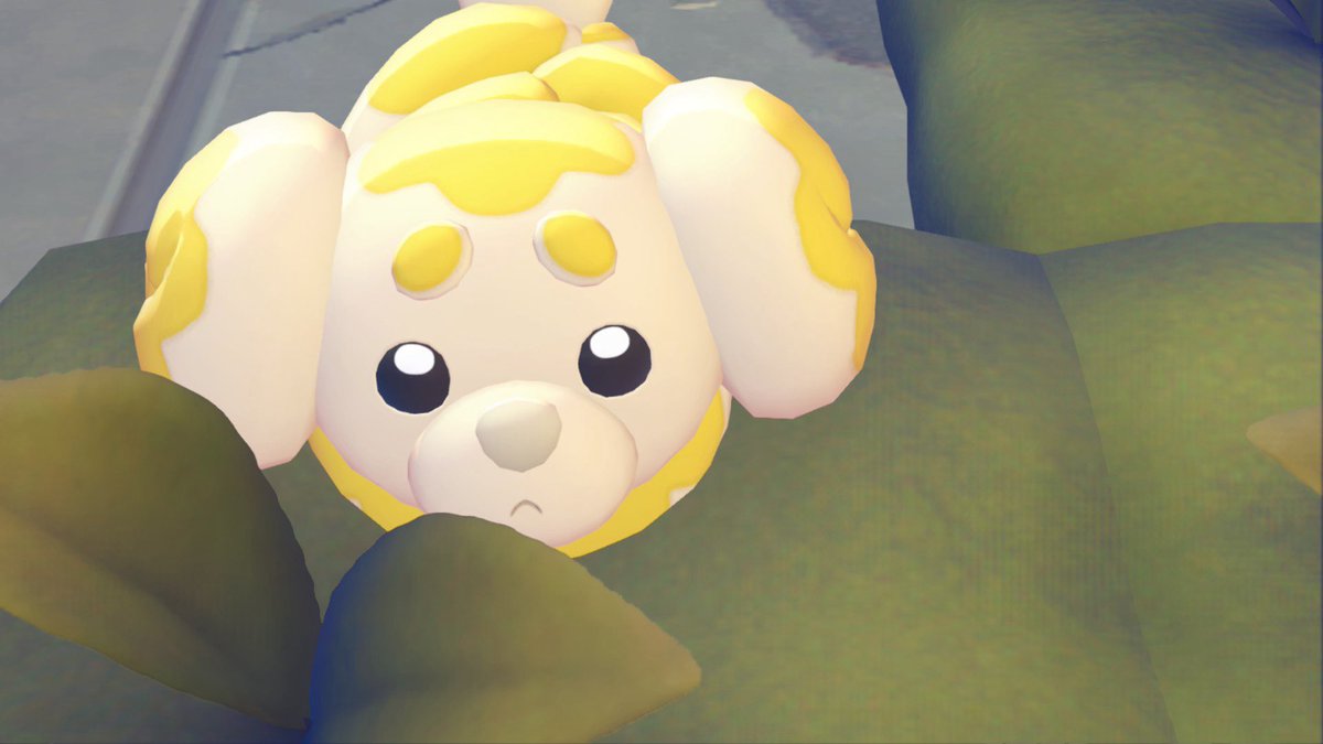 SteffyEvans tweet media