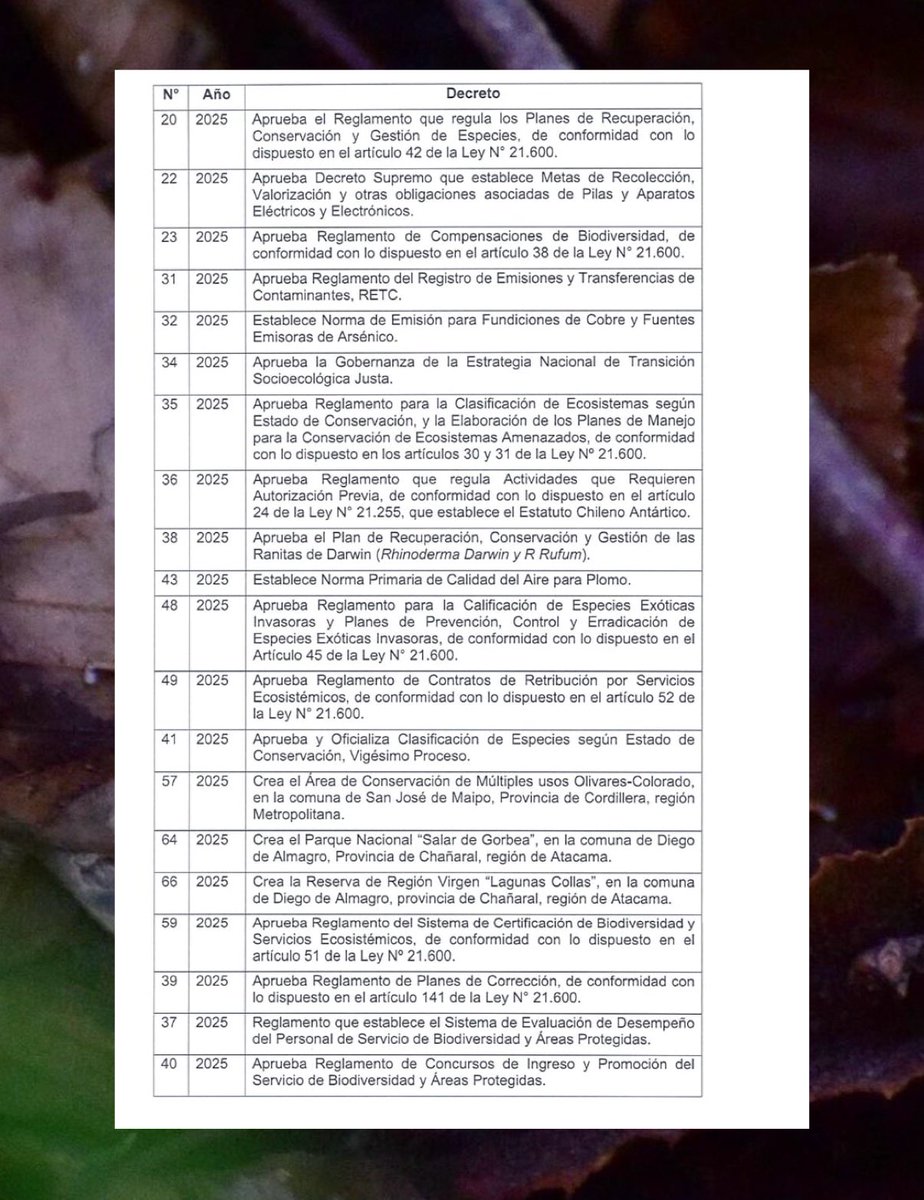 ❗️Defendamos Patagonia❗️ tweet media