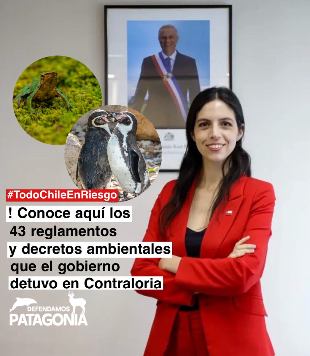 ❗️Defendamos Patagonia❗️ tweet media
