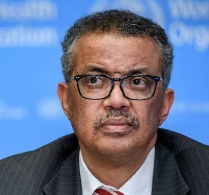 Fernanda Salles tweet media