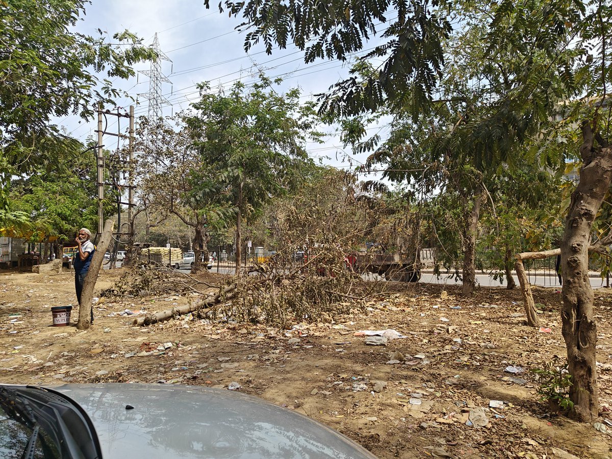 ChandelAtindra's tweet photo. Systematically plundering of public  property and nature. This is the green belt at Hongkong Bazar, Sector 57, Gurgaon. First the railings and fence were plunderer. Then slowly trees were cut to make space for parking and shops @MunCorpGurugram @CommissionerMCG  @NGTribunal https://t.co/xLB9ZKLjQg