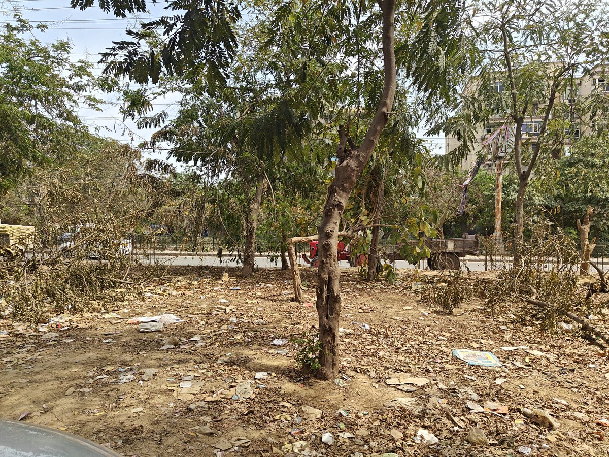 ChandelAtindra's tweet photo. Systematically plundering of public  property and nature. This is the green belt at Hongkong Bazar, Sector 57, Gurgaon. First the railings and fence were plunderer. Then slowly trees were cut to make space for parking and shops @MunCorpGurugram @CommissionerMCG  @NGTribunal https://t.co/xLB9ZKLjQg