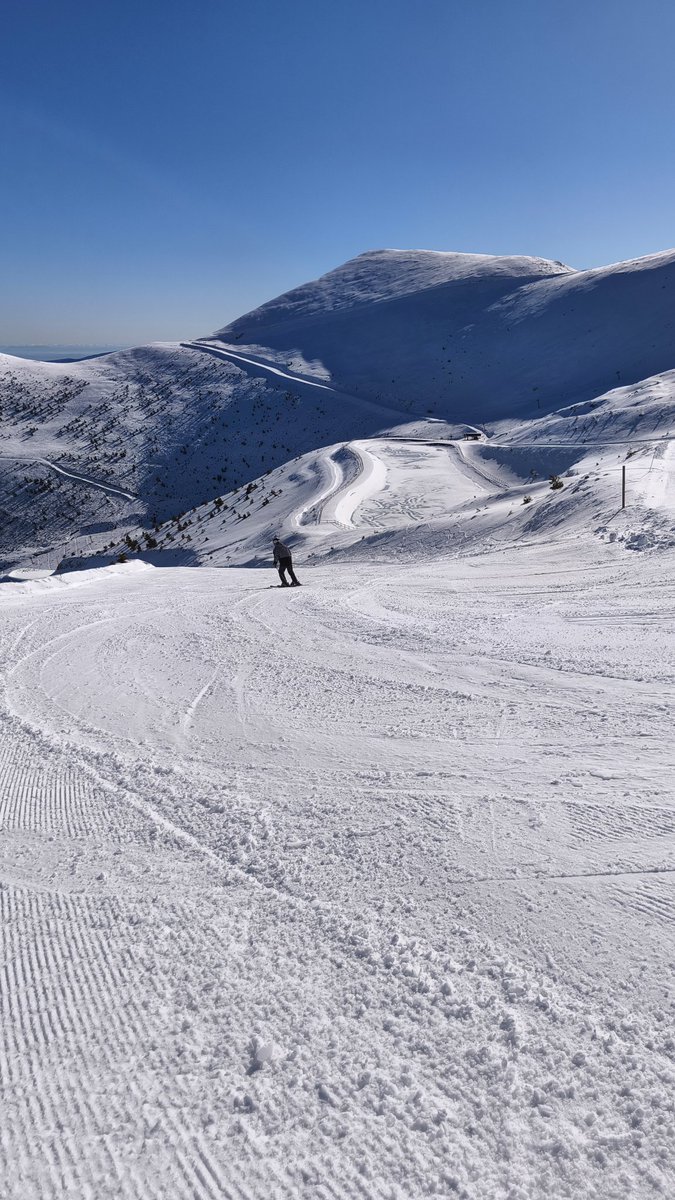 Lonifasiko | Miguel Loitxate tweet media