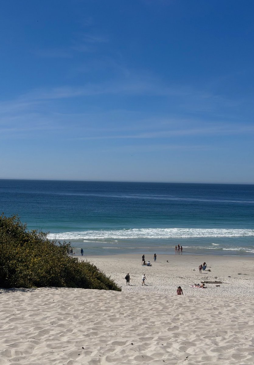 Anastasiya Sakharava tweet media