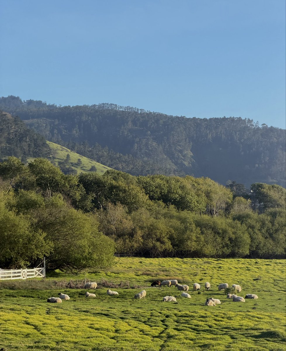 Anastasiya Sakharava tweet media