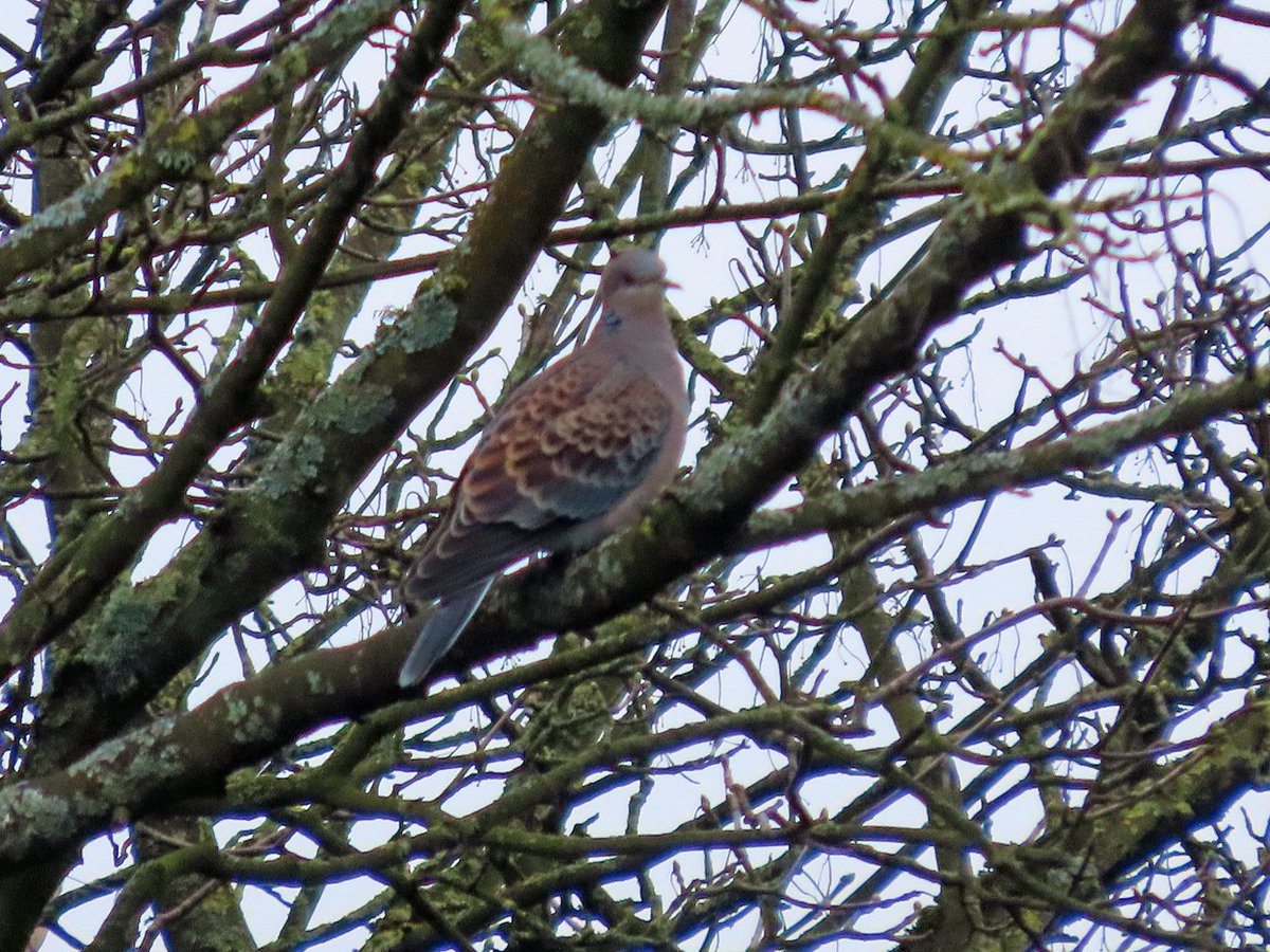 Brian E.Carruthers tweet media