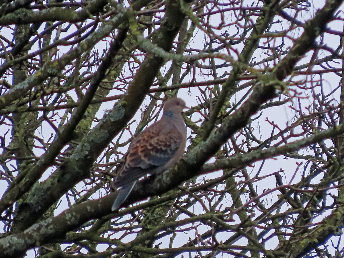 Brian E.Carruthers tweet media