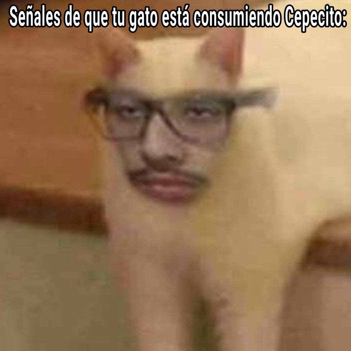 Recreo Shitpost tweet media