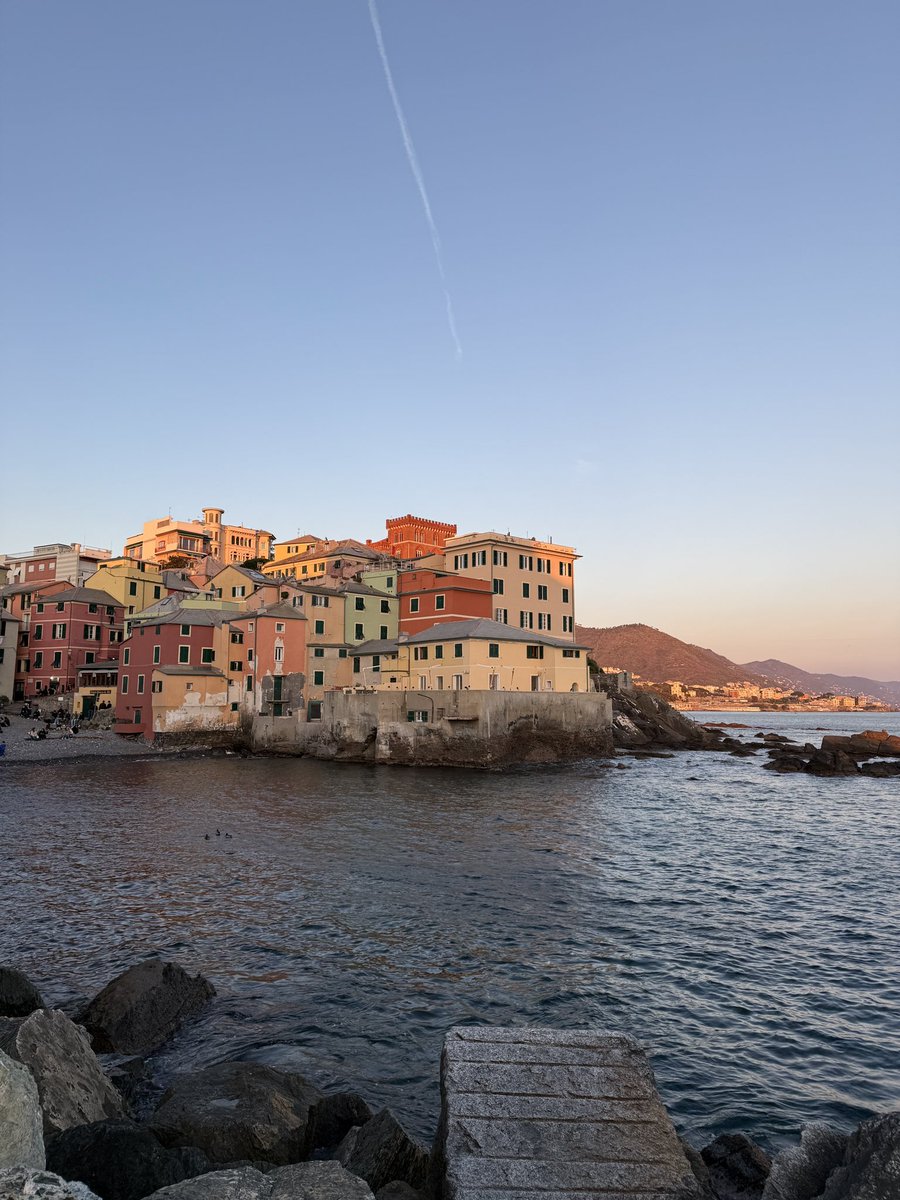 אור-אל ביילינסון tweet media