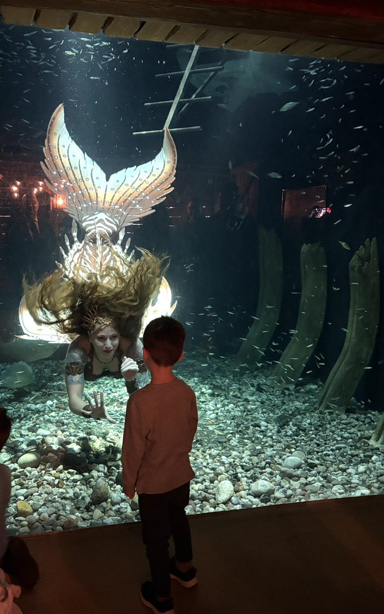 Steve Clark tweet media