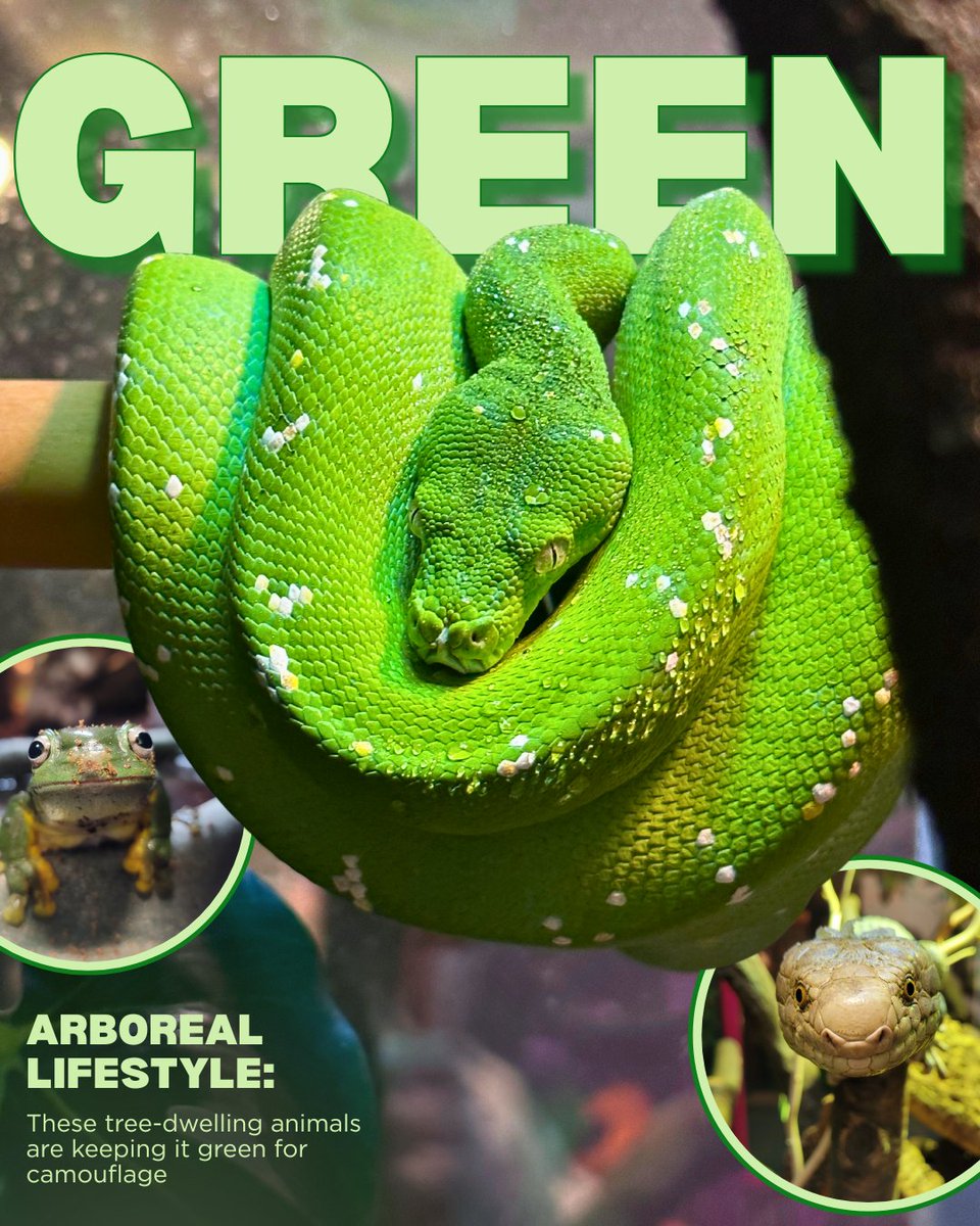 CA Science Center tweet media