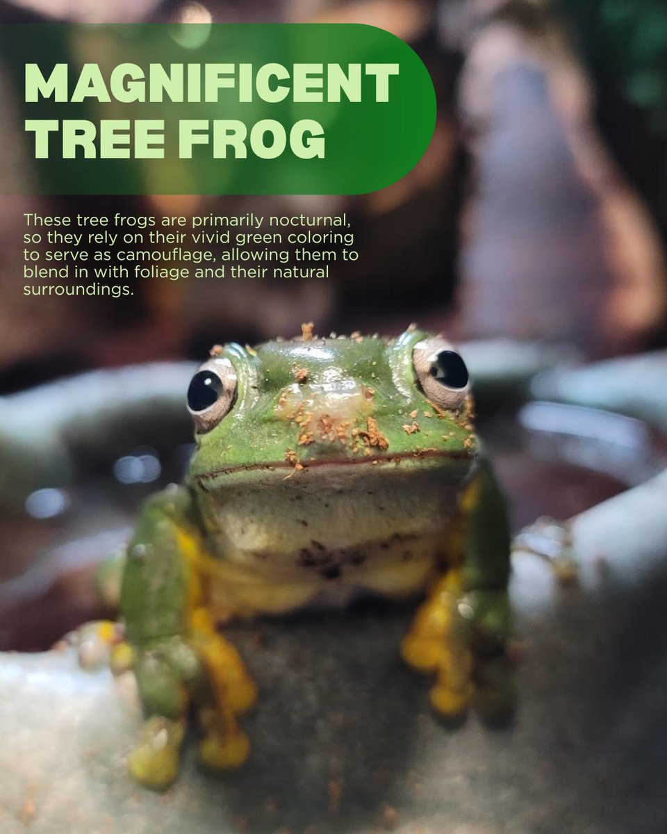 CA Science Center tweet media