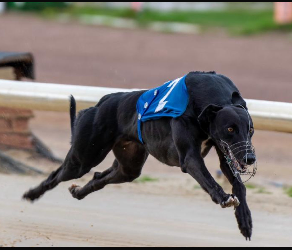 Zenith Racing tweet media