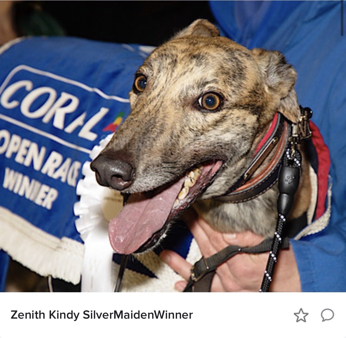 Zenith Racing tweet media