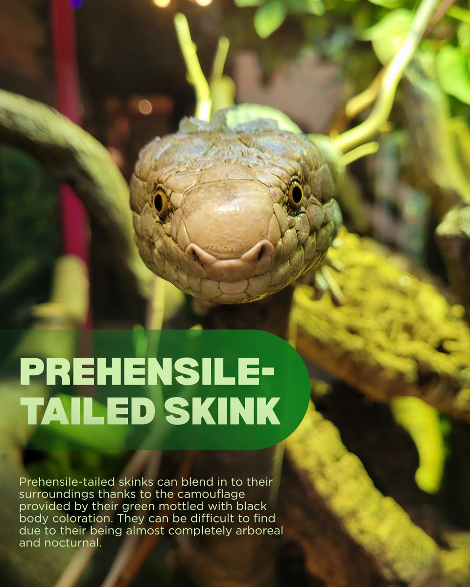 CA Science Center tweet media