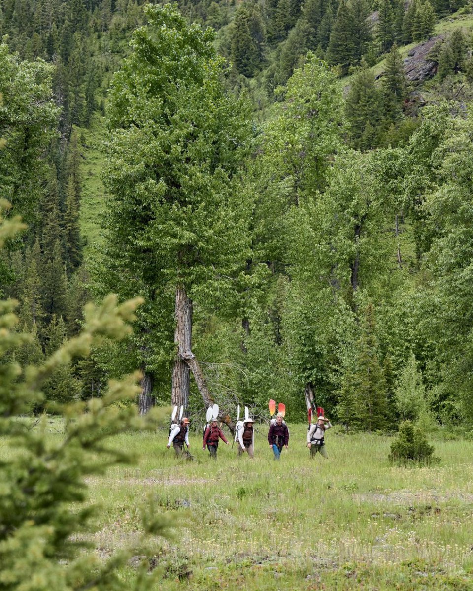 visitwyoming's tweet photo. We feel lucky to explore these emerald forests. Discover the magic of Wyoming’s greenery from mossy trails to alpine lakes. 🏔️🌲

Send this to your lucky charm.

📍Carbon County

#ThatsWY https://t.co/cD1iYgUVOt