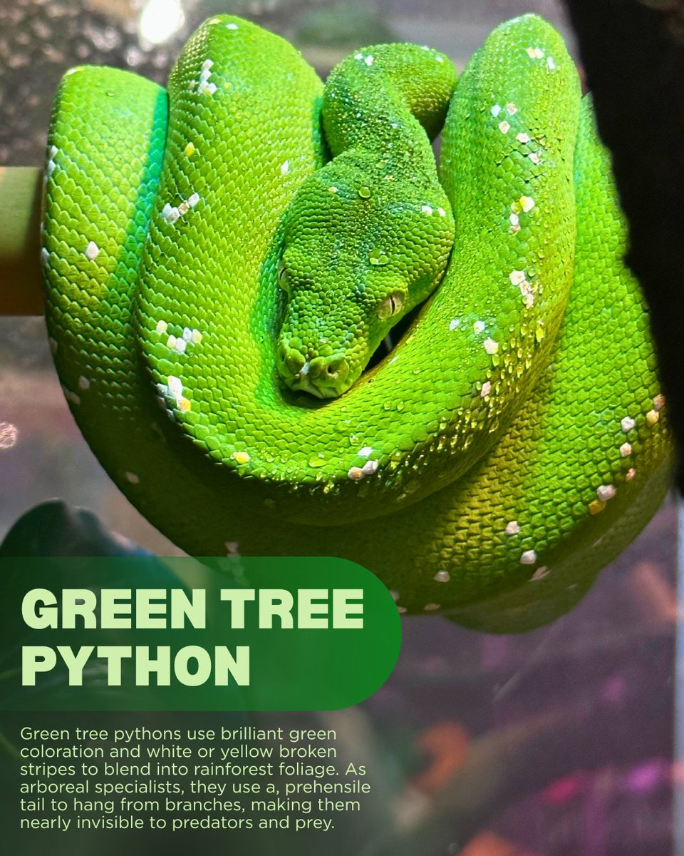 CA Science Center tweet media