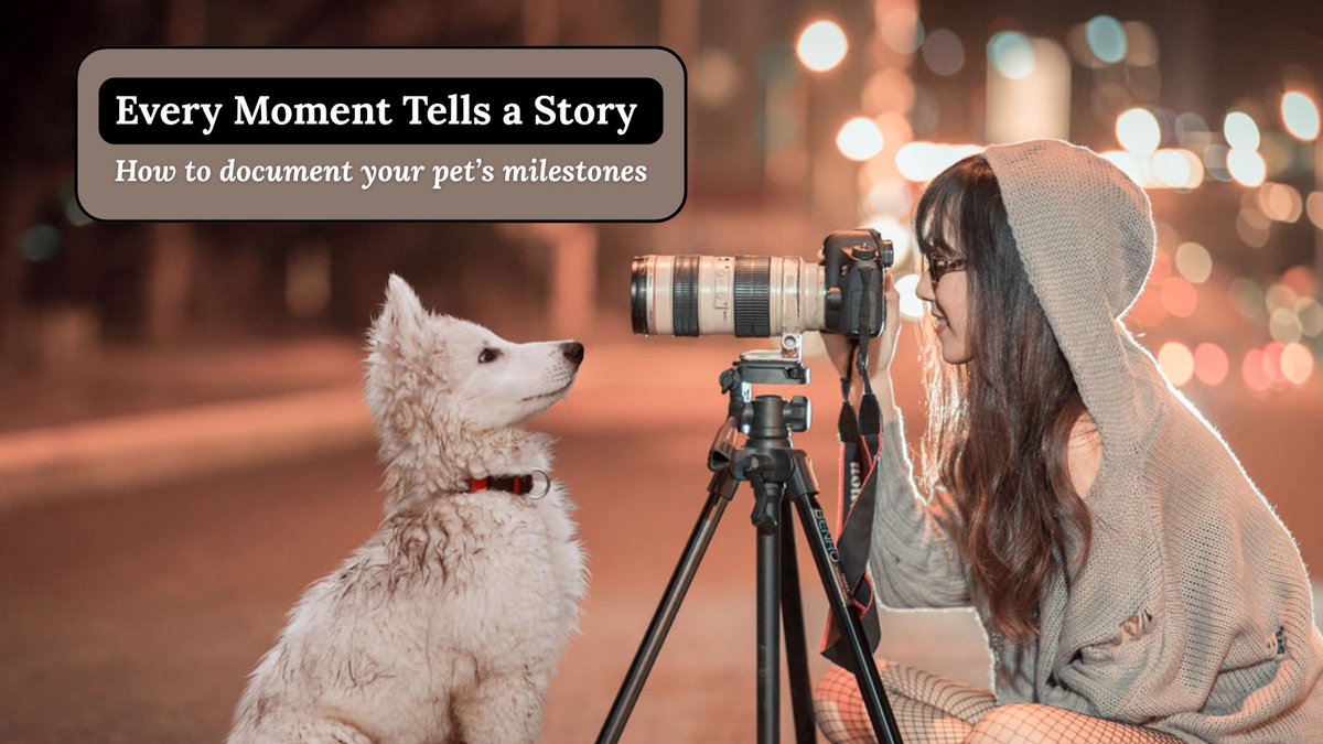 mydogblog's tweet photo. Pet milestones pass quickly — but capturing them doesn’t have to be complicated.   Guest contributor Sharon Wagner shares simple, meaningful ways to document the moments you’ll want to remember.
Read more: https://t.co/LXcgEVGt3N https://t.co/mnOhwQQzRG