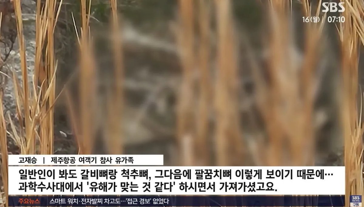 🇺🇸🇰🇷🇯🇵그러하지 (전前 대깨문, 전前 민주당 전국대의원(탈당完)) tweet media