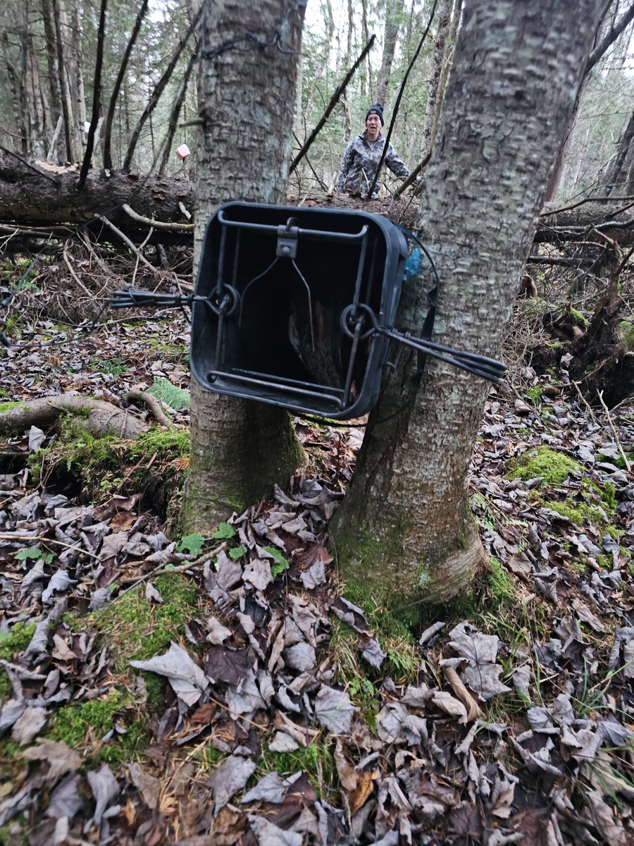 The Trapper tweet media