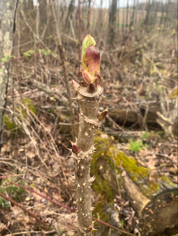 Sinking Creek tweet media