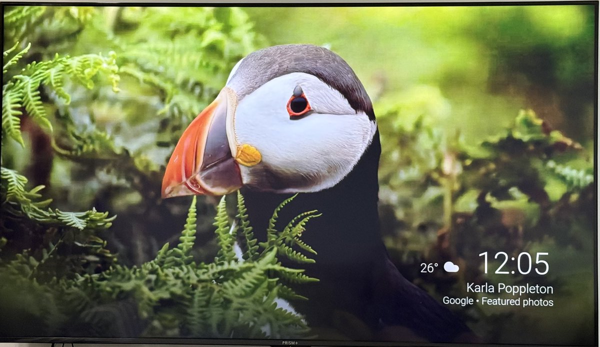 Gambler7✳️ tweet media