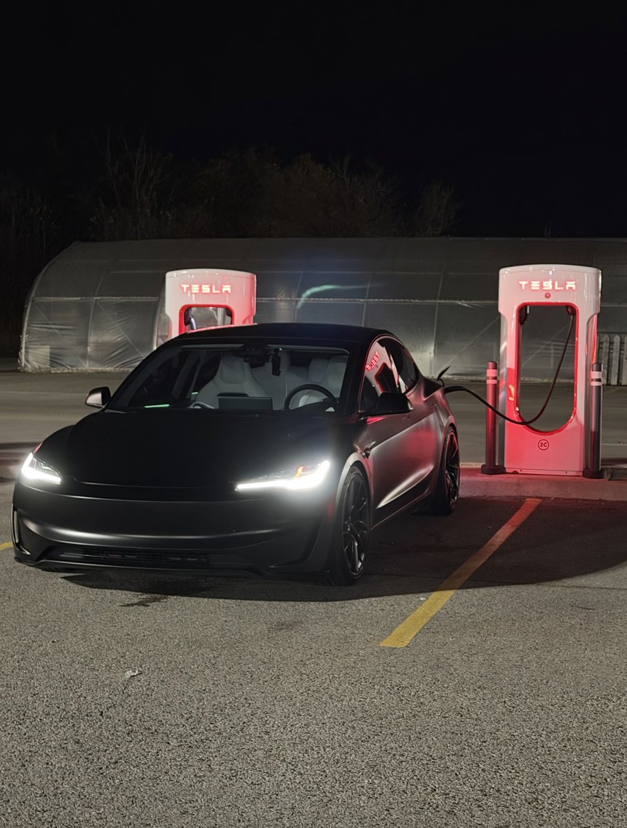 Nic Cruz Patane tweet media