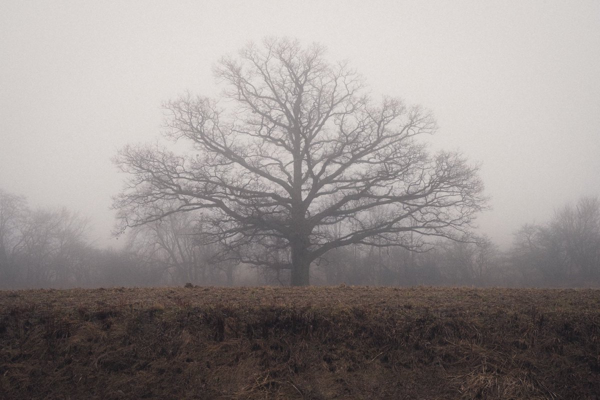 levi 😸 tweet media