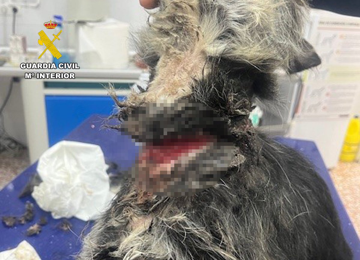 Alerta Zeta | Sucesos 🇪🇸 tweet media