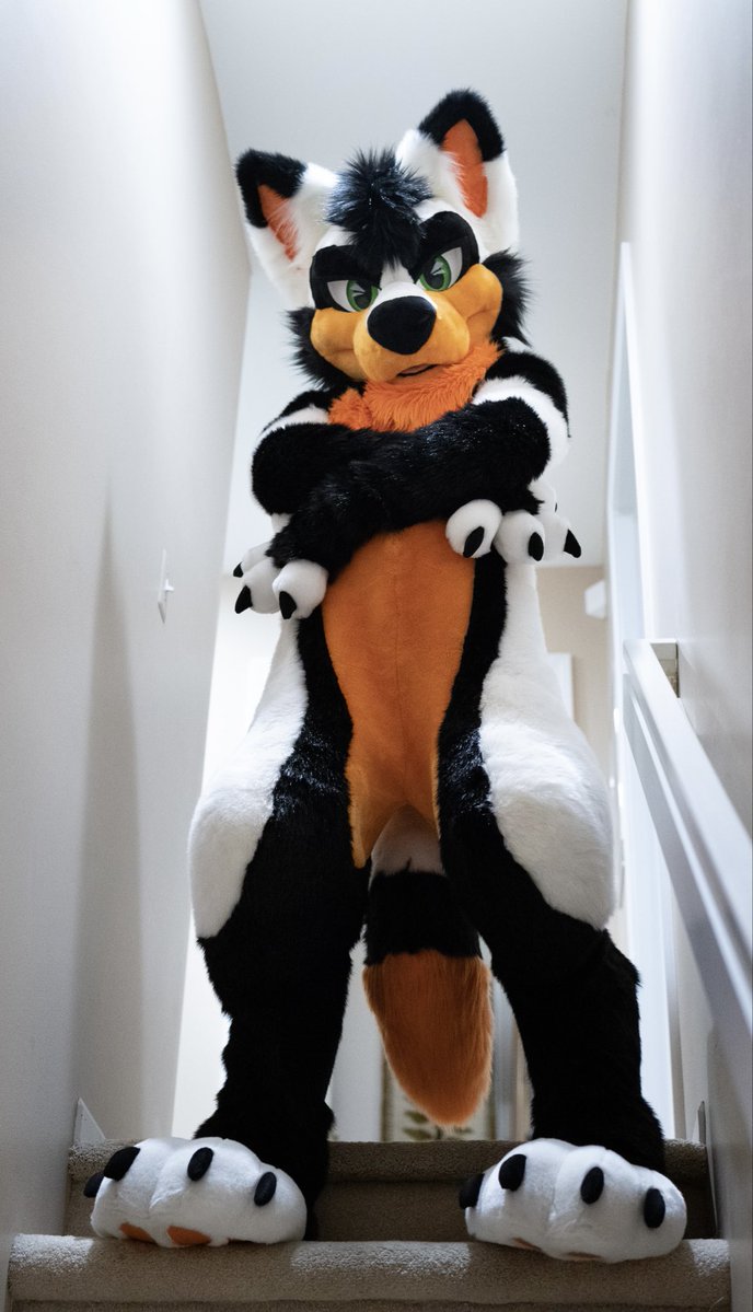 ▫️🔸Zephyr ◾️🔶 🔜FWA tweet media