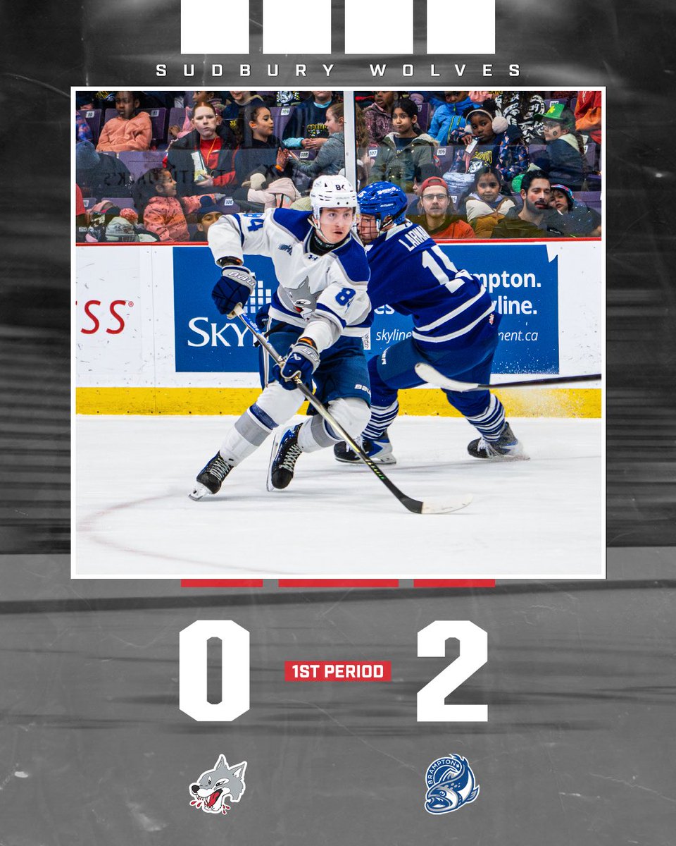 Sudbury Wolves tweet media